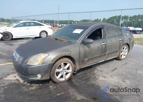 2006 Nissan Maxima 3.5 Se из США, поврежденный, VIN 1N4BA41E56C858455
